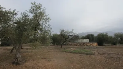 Rustic farm on Pla Sant Marti Street photo 2