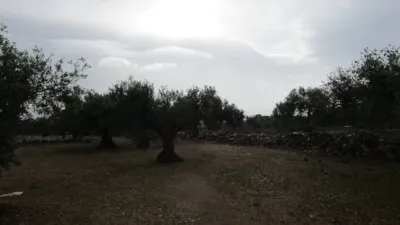 Rustic farm on Pla Sant Marti Street photo 3