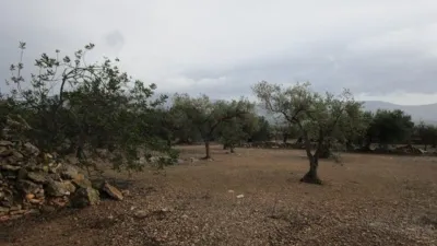 Rustic farm on Pla Sant Marti Street photo 5