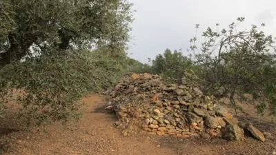 Rustic farm on Pla Sant Marti Street photo 6