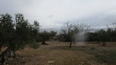 Rustic farm on Pla Sant Marti Street photo 8