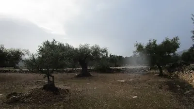 Rustic farm on Pla Sant Marti Street photo 9
