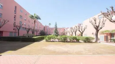 Apartment in Elcano-Los Bermejales photo 18