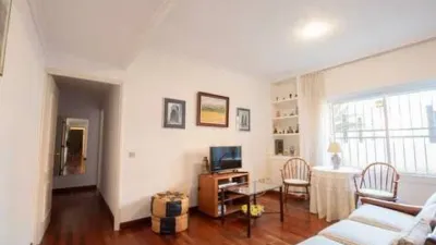 Apartment in Elcano-Los Bermejales photo 3
