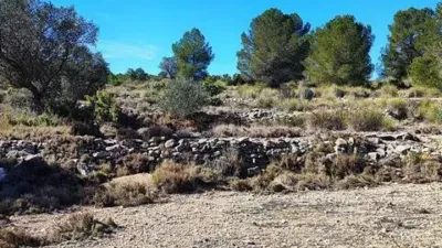 Terreno en venta en Monòver - Monóvar - Vista 4
