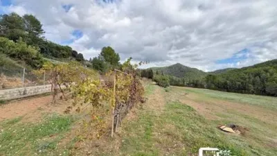 Rustic house in Olivella photo 19