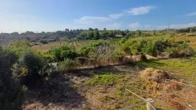 Casa rústica en Camí Son Baucanet photo 13