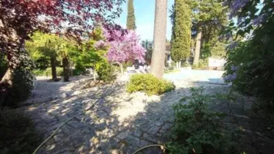 Chalet in Los Molinos photo 57