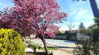 Chalet in Los Molinos photo 59