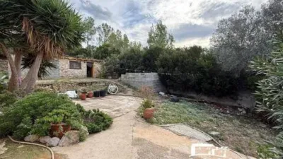 Chalet in Olivella photo 16