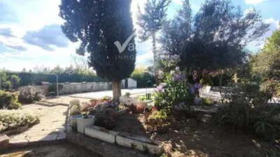 Chalet in Los Molinos photo 45
