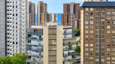 Apartment on Calle del Esperanto photo 3
