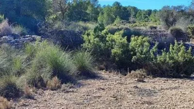 Terreno en venta en Monòver - Monóvar - Vista 3