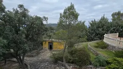 Chalet in Albalate de Zorita photo 49