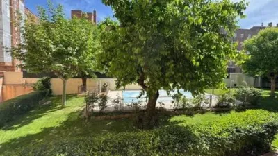 Apartment in Campamento photo 19