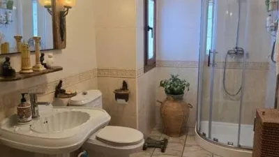 House in Villamanta photo 71