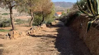 Rustic House in La Hoya-Almendricos-Purias photo 7