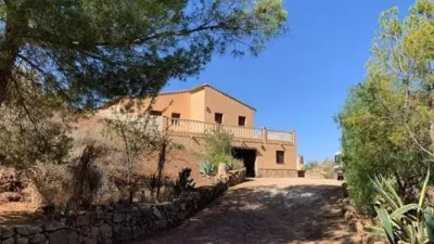 Rustic House in La Hoya-Almendricos-Purias photo 5