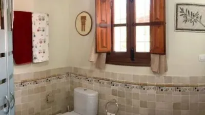 Rustic house in Álora photo 25