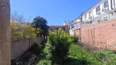 Rustic House in Murcia Capital photo 7
