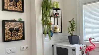 Apartment on Avenida de Oliva Nova photo 22
