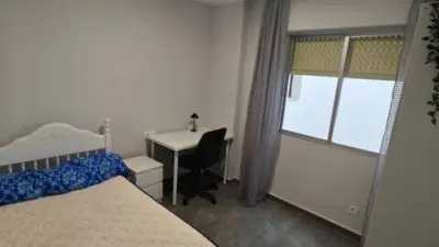Apartment on Plaza de Las Flores Street, No Number photo 12
