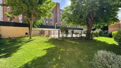 Apartment in Campamento photo 22