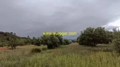 Rustic house in Chiva photo 10