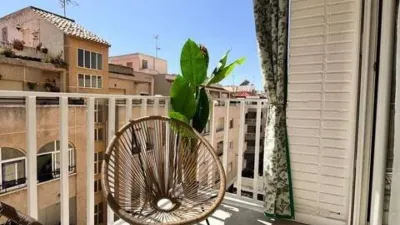 Pis – Torrevieja, Europa, el Baix Segura / La Vega Baja - Més