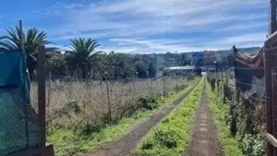 Rustic property in Tacoronte photo 11
