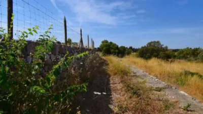 Rustic house in Muro photo 23