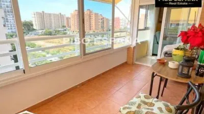 Pis – Alicante - Alacant - Vista 4
