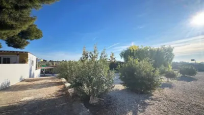 Chalet in Sant Vicent del Raspeig - San Vicente del Raspeig photo 48