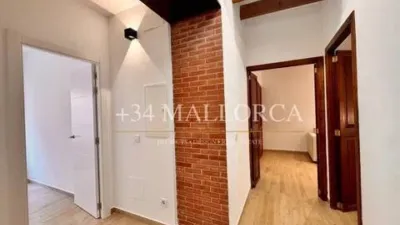 Flat in Santa Eugènia photo 49