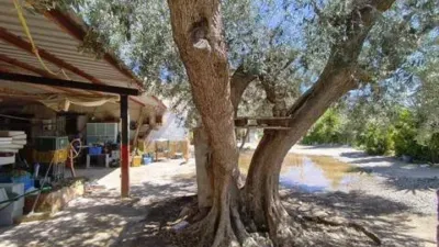 Rustic house on Calle Paraje Cenete, 16 photo 4