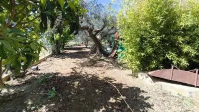 Rustic house on Calle Paraje Cenete, 16 photo 35
