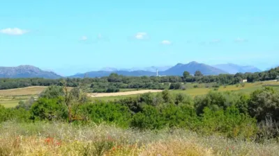 Rustic house in Muro photo 15