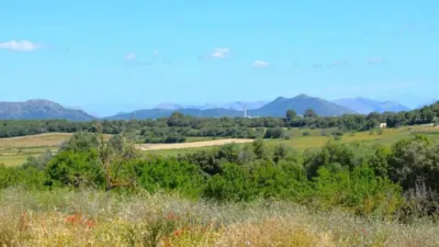 Rustic house in Muro photo 16