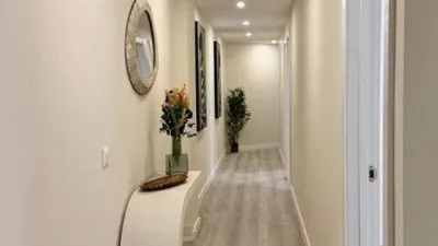 Apartment on Calle Rodeo photo 14