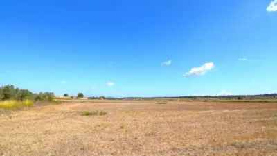 Rustic property in Muro photo 16