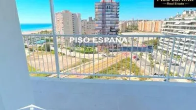 Pis – Alicante - Alacant - Vista 5