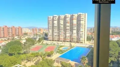 Apartment in Cabo de la Huerta photo 45