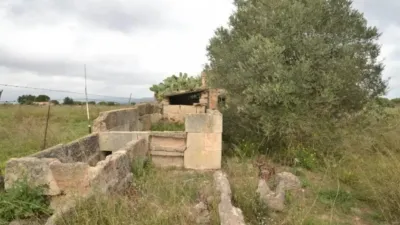 Chalet in Muro photo 7