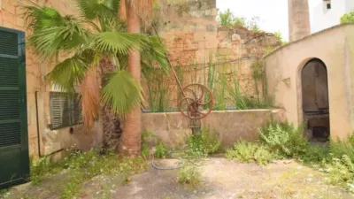 Chalet in Muro photo 17