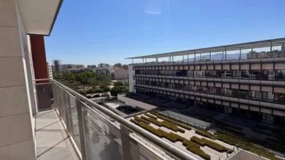 Apartment in Juan Carlos I photo 8