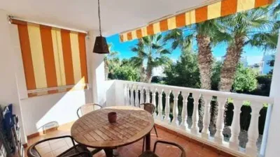 Pis – Orihuela, Villa Martín - Més