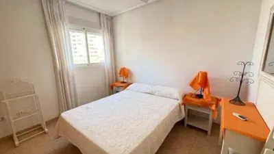 Pis – Torrevieja - Vista 5