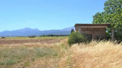 Rustic property in Muro photo 3