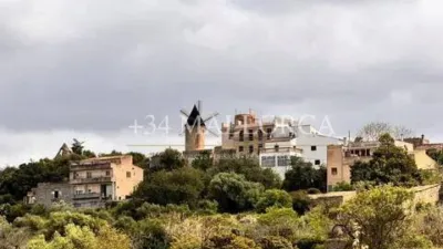 Flat in Santa Eugènia photo 3