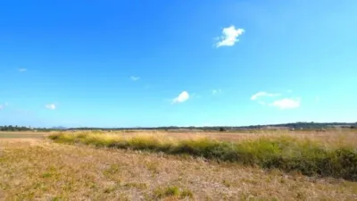 Rustic property in Muro photo 18